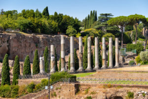 גבעת פלטין ועמודים עתיקים ברומא